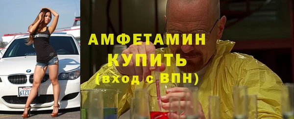 шишки Аркадак
