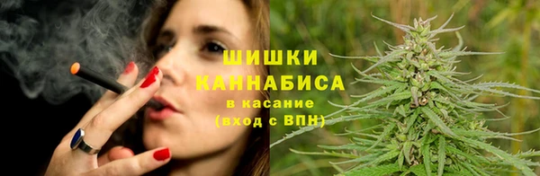 шишки Аркадак