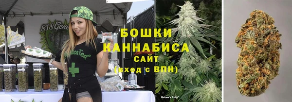 шишки Аркадак