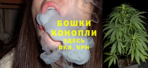 шишки Аркадак