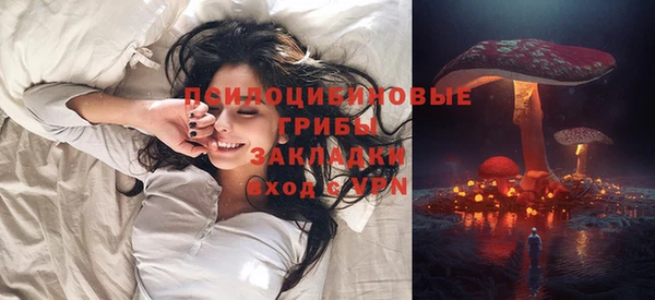 шишки Аркадак