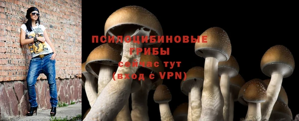 кокаин Арсеньев