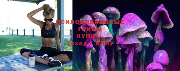 шишки Аркадак