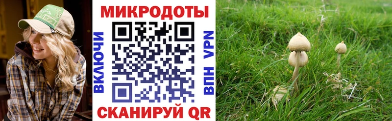 Псилоцибиновые грибы Cubensis  Звенигород 